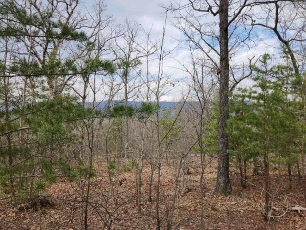 0 Vintage Lane, Winchester, VA 22603 Main Photo