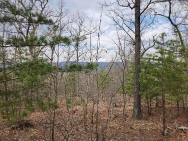 0 Vintage Lane, Winchester, VA 22603