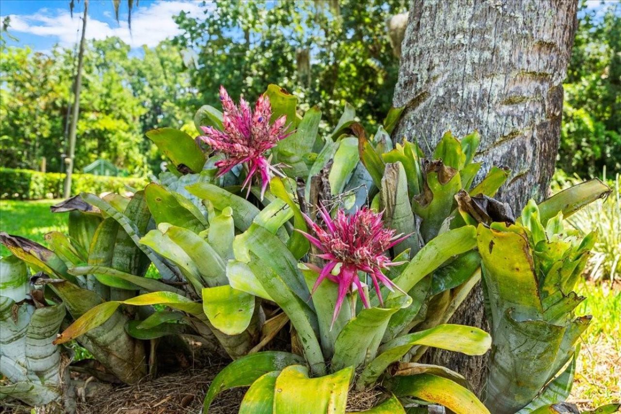 1020 Old Big Tree Road, Daytona Beach, FL 32119 Photo