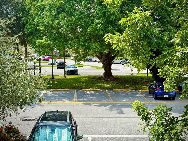 2504 Antigua Terrace, Unit D2, Coconut Creek, FL 33066 Photo