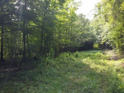 0 Fivel Road, Ridgeville, SC 29472