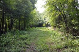 0 Fivel Road photo 4