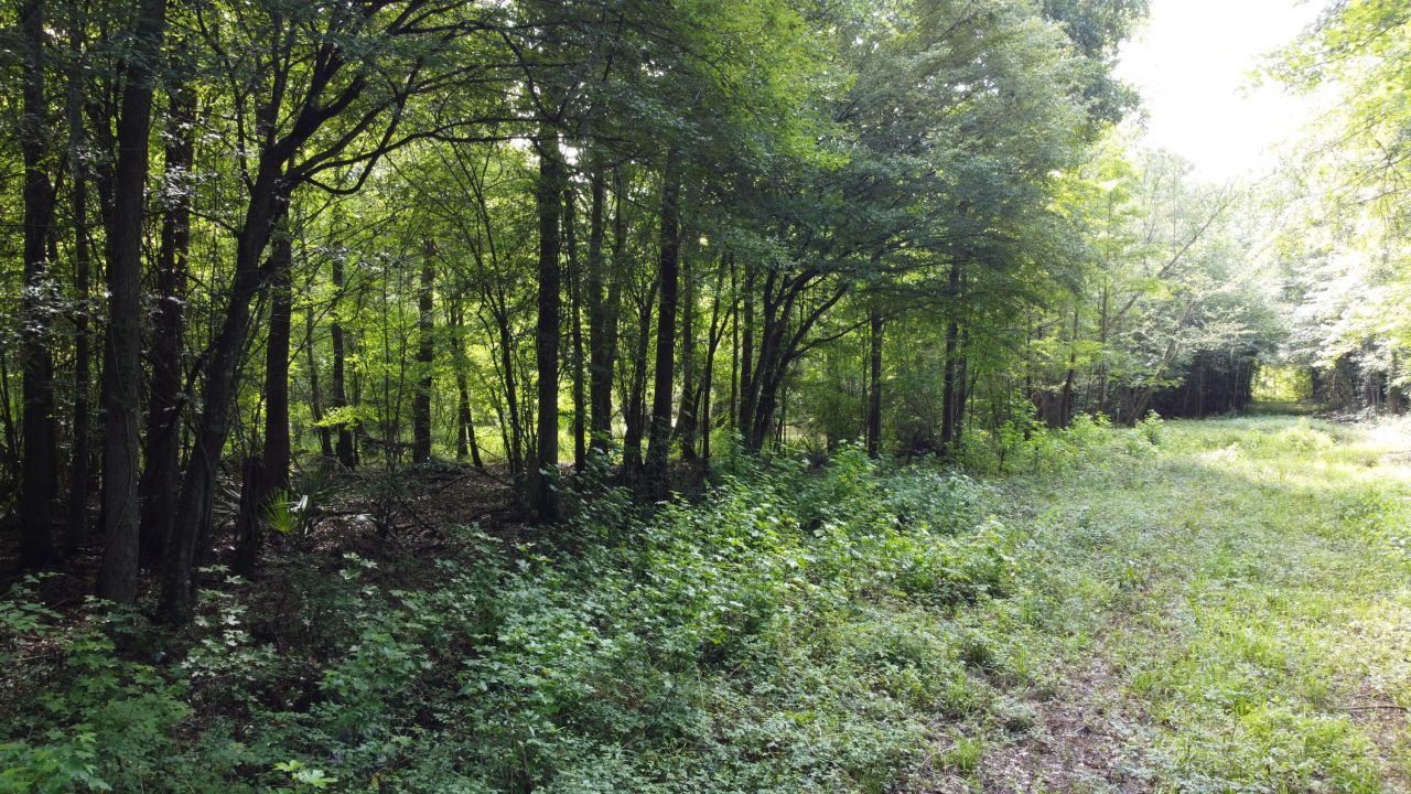 0 Fivel Road Photo 4