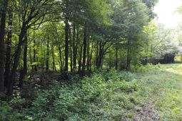 0 Fivel Road photo 4