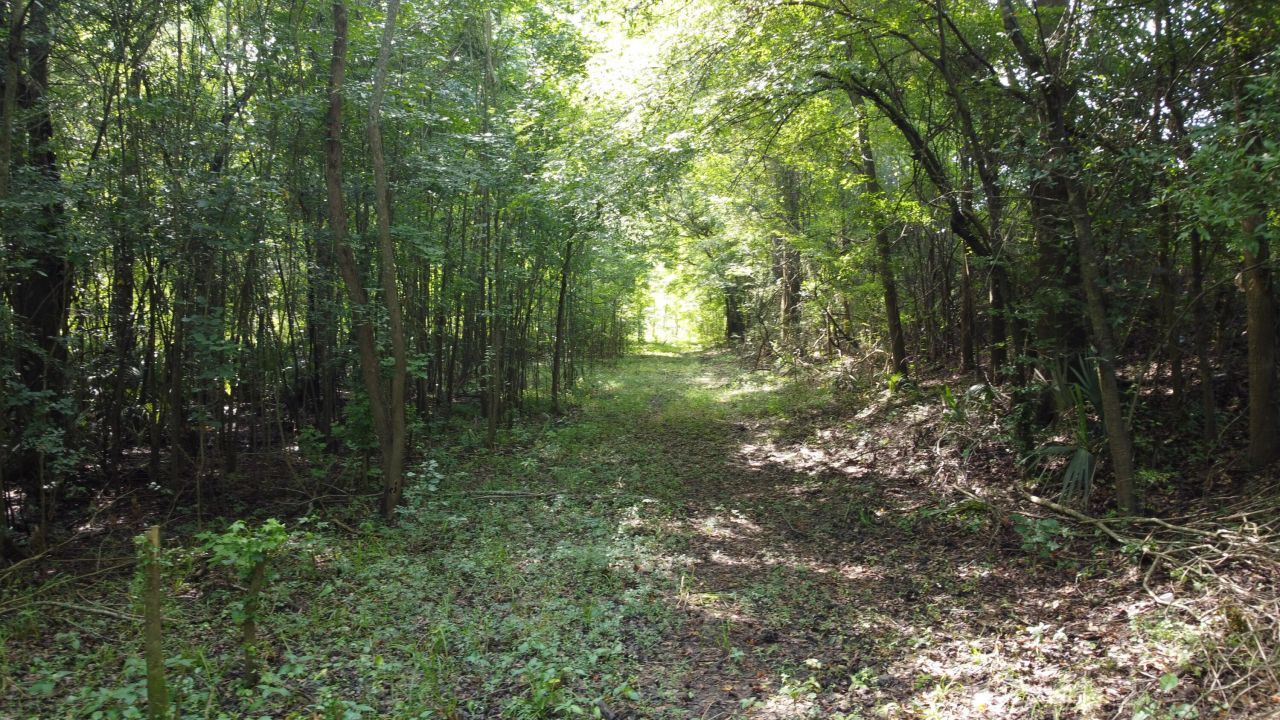 0 Fivel Road Photo 8