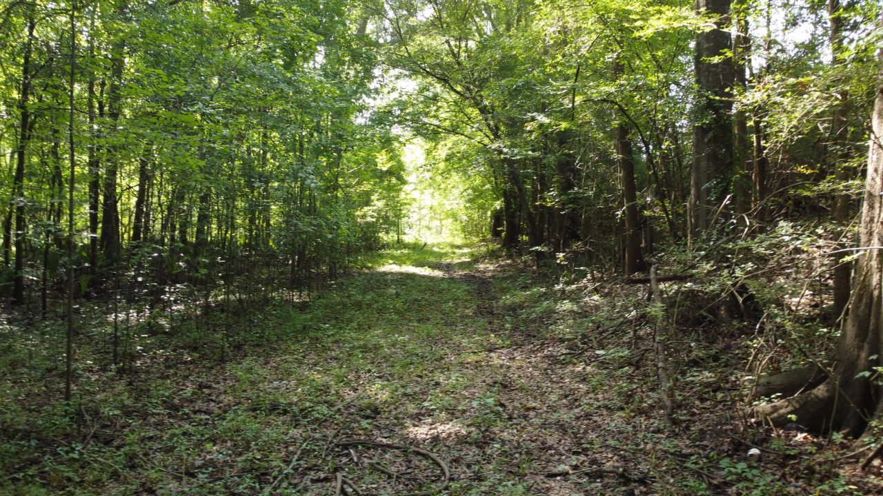 0 Fivel Road Photo 9