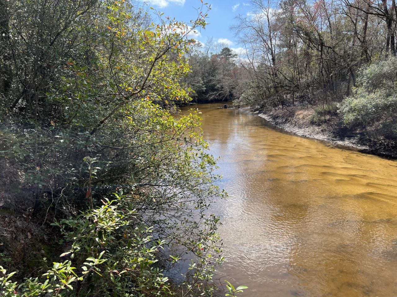 X Eagles Way, Defuniak Springs, FL 32433 Main Photo