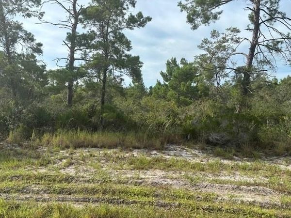 0 Cypress Street, Interlachen, FL 32148
