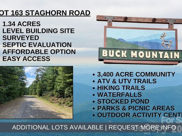 TBD Staghorn Road, Purlear, NC 28665