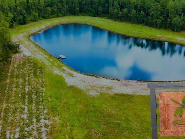Lot 1 US HIGHWAY 301, Bryceville, FL 32097