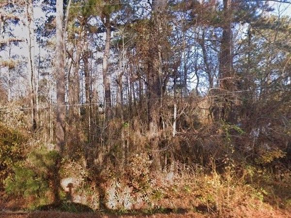 N Webb Street, Selma, NC 27576