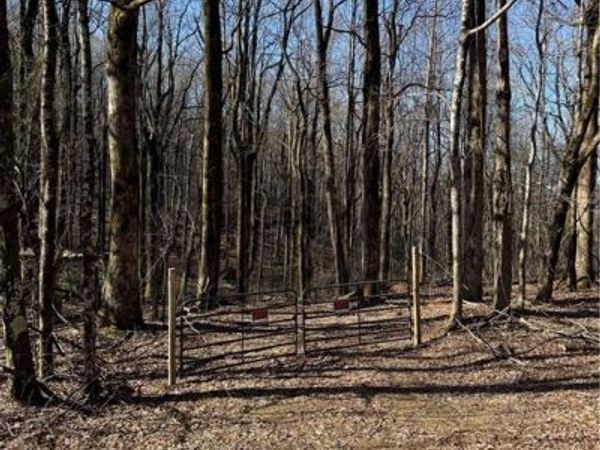 6180 Burnt Mountain Road, Ellijay, GA 30536