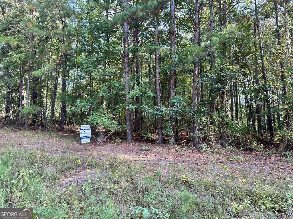 211 Kelley Creek Road, Waco, GA 30182 Main Photo