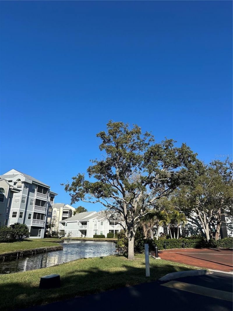 6810 Stones Throw Circle N, Unit 13203, Saint Petersburg, FL 33710 Photo