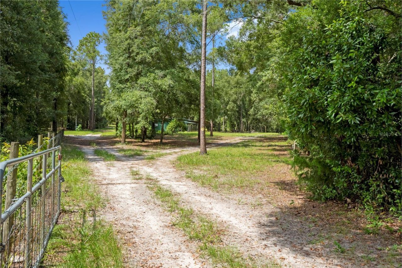 3749 SW 22nd Place, Bell, FL 32619 Photo