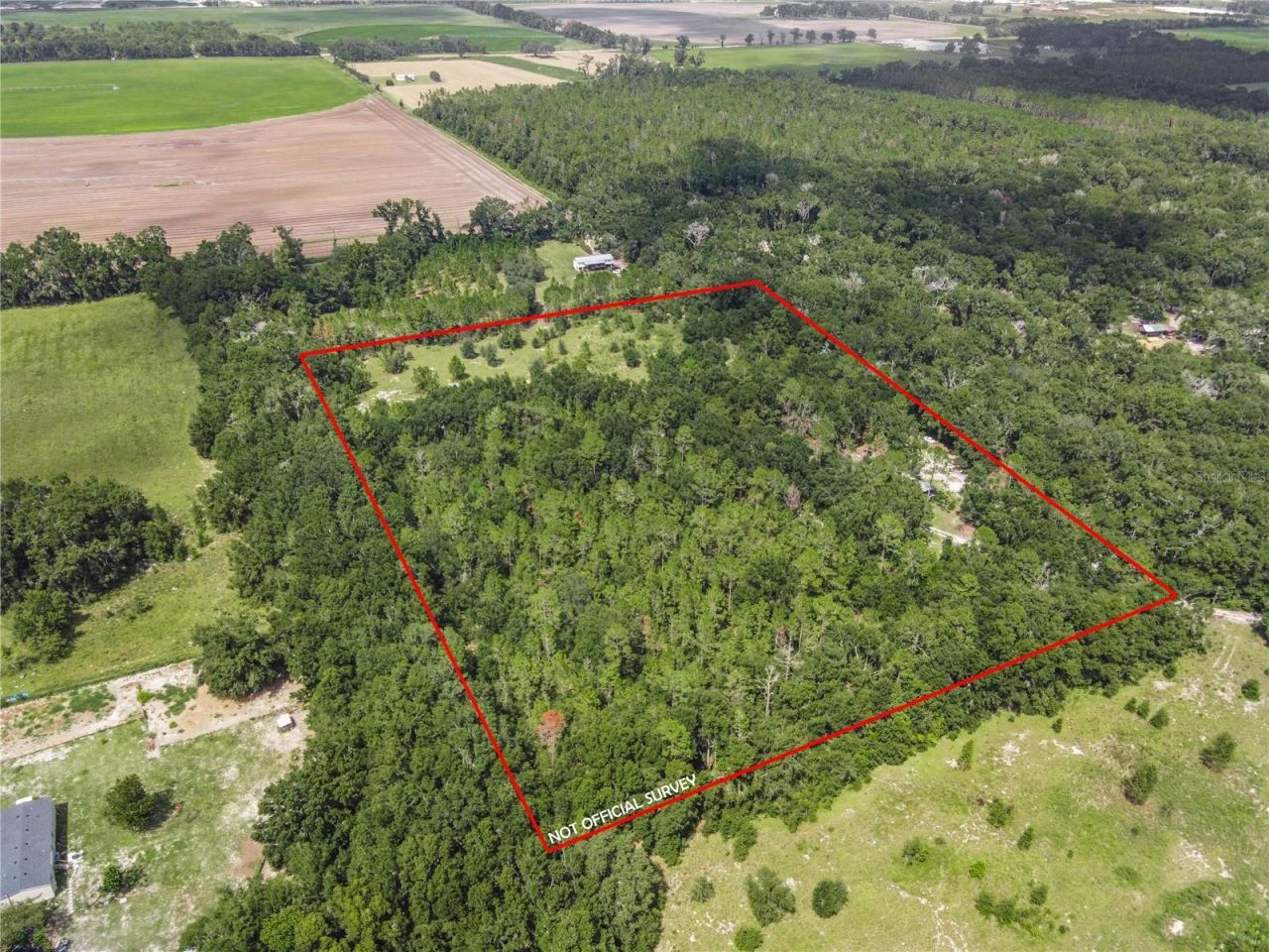 3749 SW 22nd Place, Bell, FL 32619 Photo