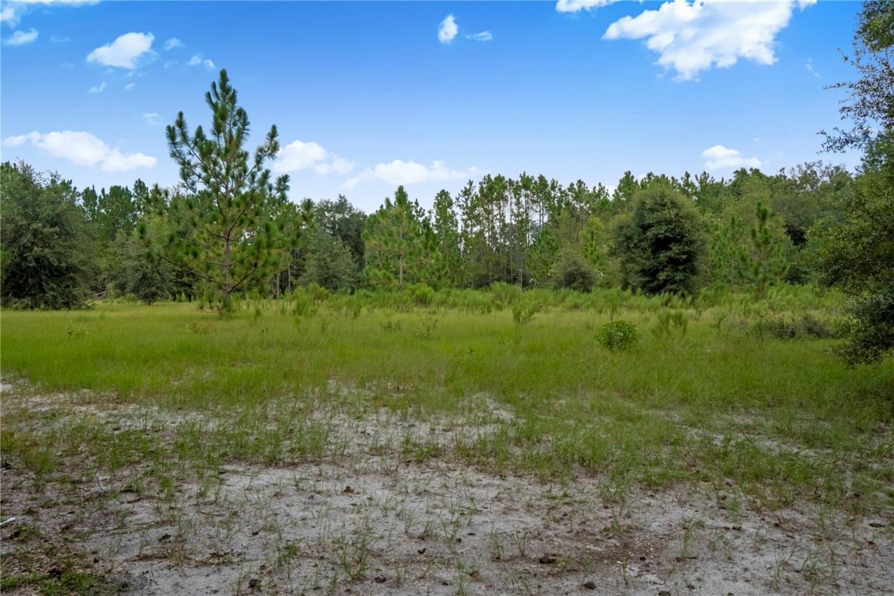 3749 SW 22nd Place, Bell, FL 32619 Photo