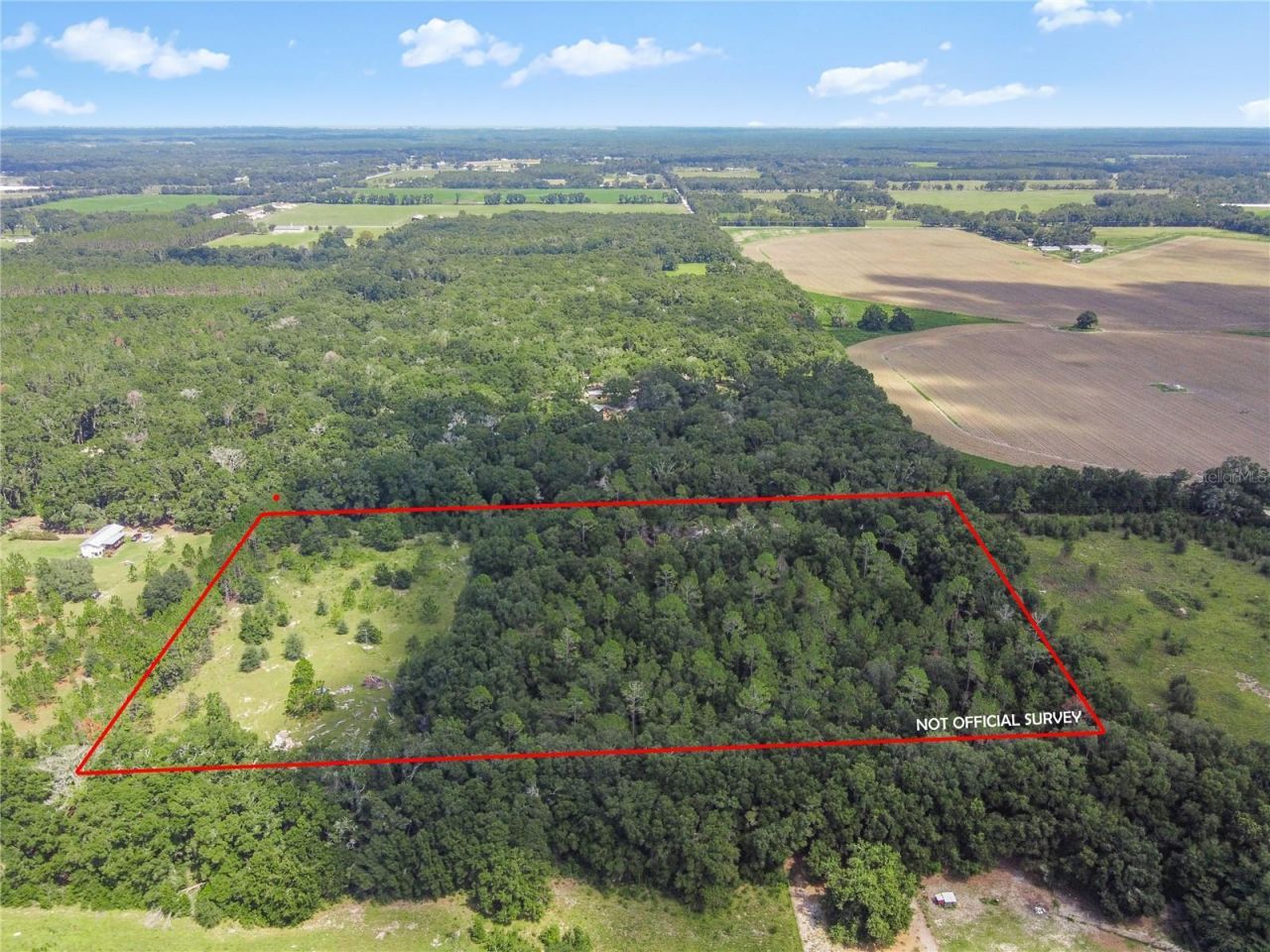 3749 SW 22nd Place, Bell, FL 32619 Photo