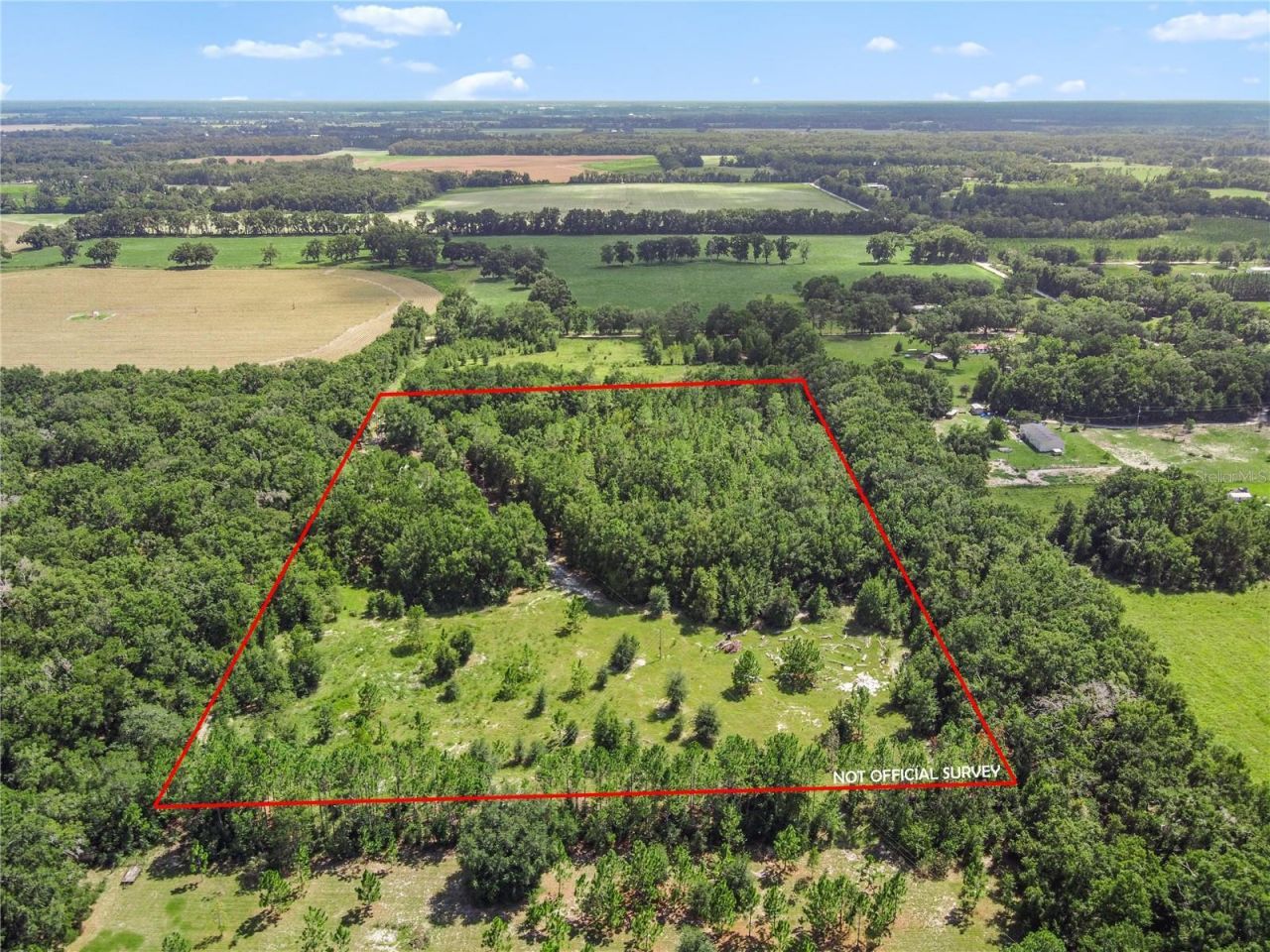 3749 SW 22nd Place, Bell, FL 32619 Photo