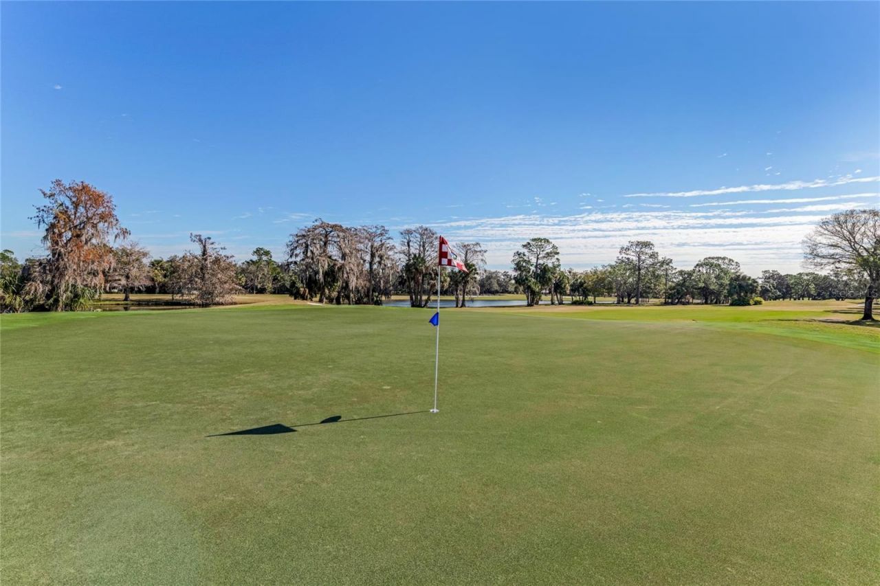 507 Boxwood Lane, New Smyrna Beach, FL 32168 Photo