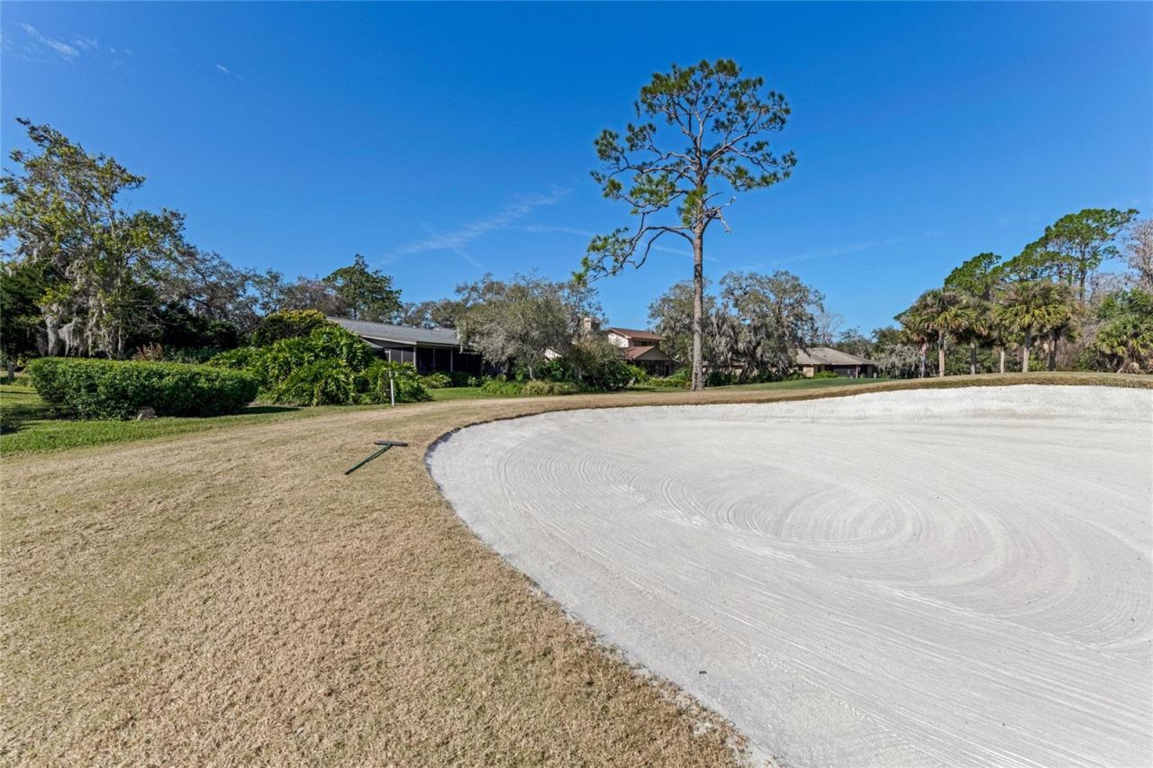 507 Boxwood Lane, New Smyrna Beach, FL 32168 Photo
