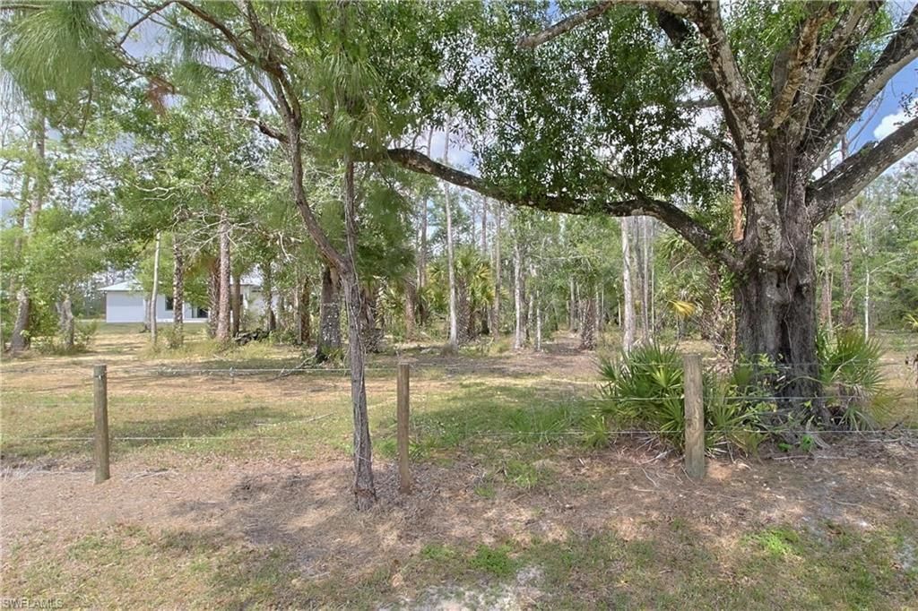 19401 Witts End, Alva, FL 33920 Photo