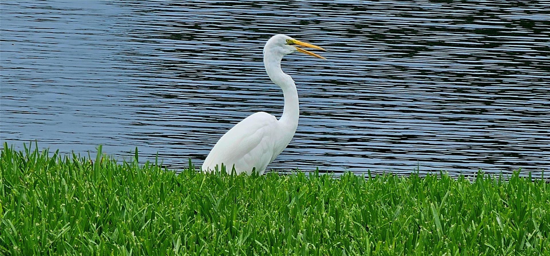 1881 NW 96th Terrace, Unit 7F, Pembroke Pines, FL 33024 Photo