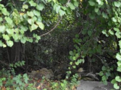 0 Irick Street, Eutawville, SC 29048