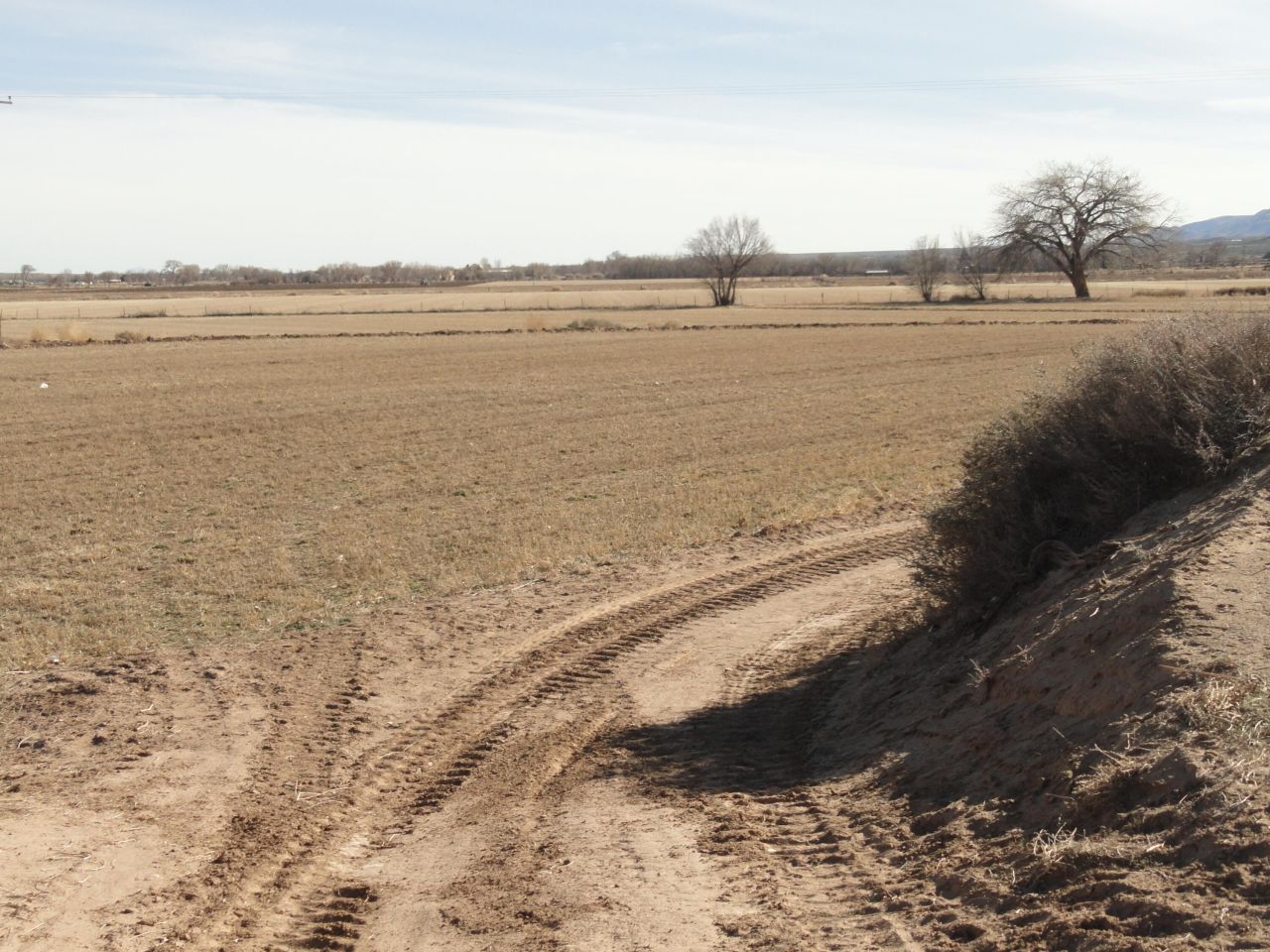 Community Road, Polvadera, NM 87828 Main Photo