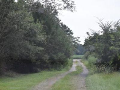 0 Lilac Lane, Nesmith, SC 29580