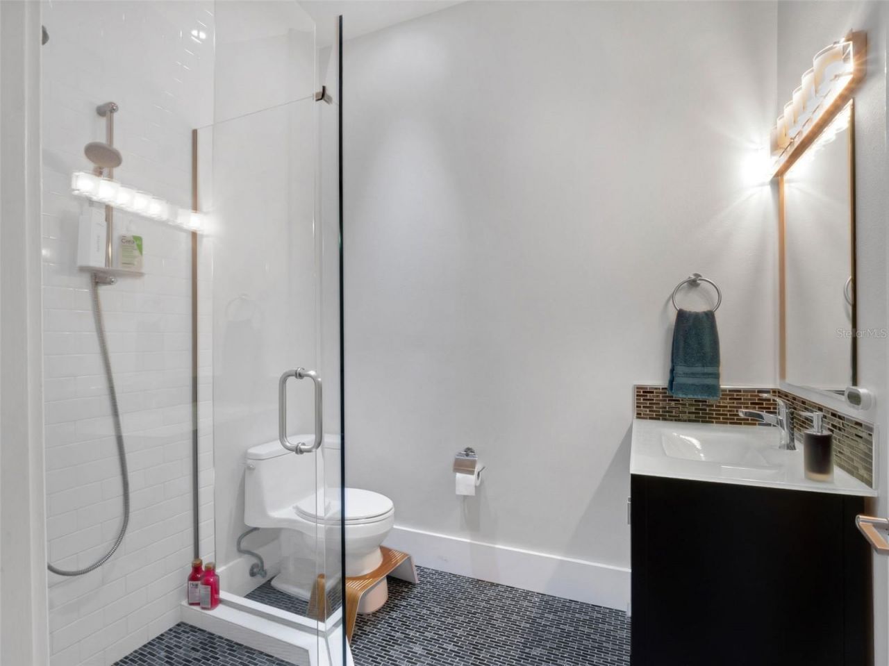 919 Banana Lake Road, Lake Mary, FL 32746 Photo