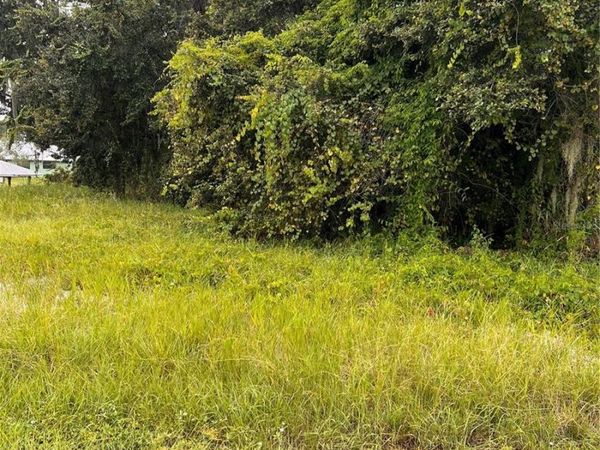 112 HAPPINESS AVENUE, LAKE PLACID, FL 33852