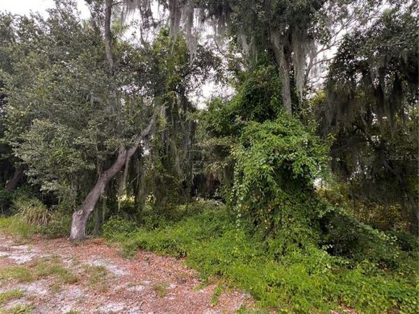 324 CINEMA DRIVE, LAKE PLACID, FL 33852