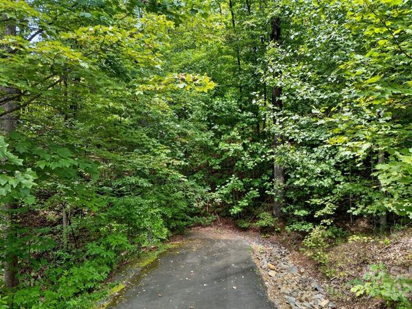 100 Comet Falls Trail, Black Mountain, NC 28711