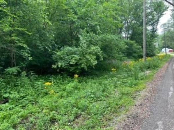 Lot 9-13 S Hickory Avenue, Wilmington, IL 60481
