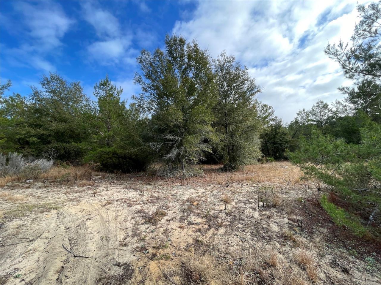 00 Sr 20, Interlachen, FL 32148 Photo