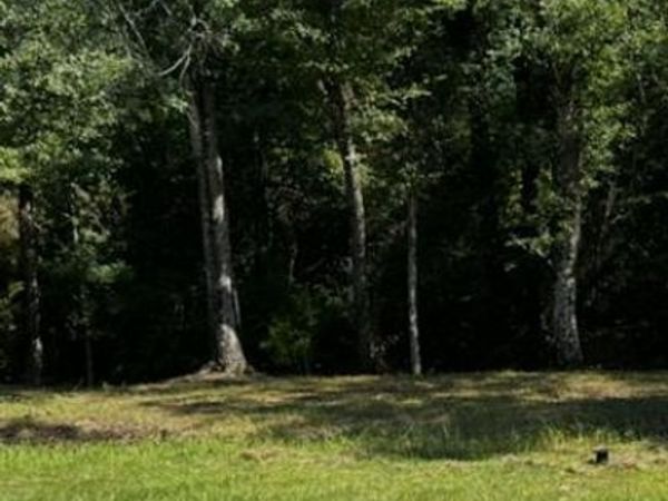 0 Celeste Road, Saraland, AL 36571