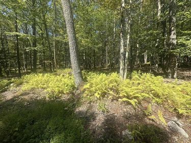 47 Day Lily Court, Terra Alta, WV 26764