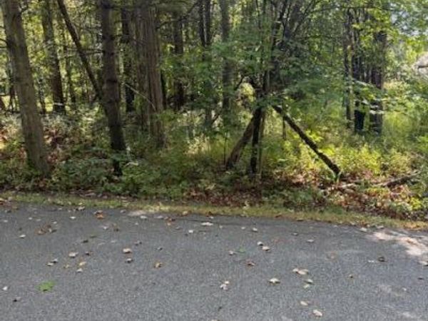 41 Fallen Tree Lane, Athens, NY 12015