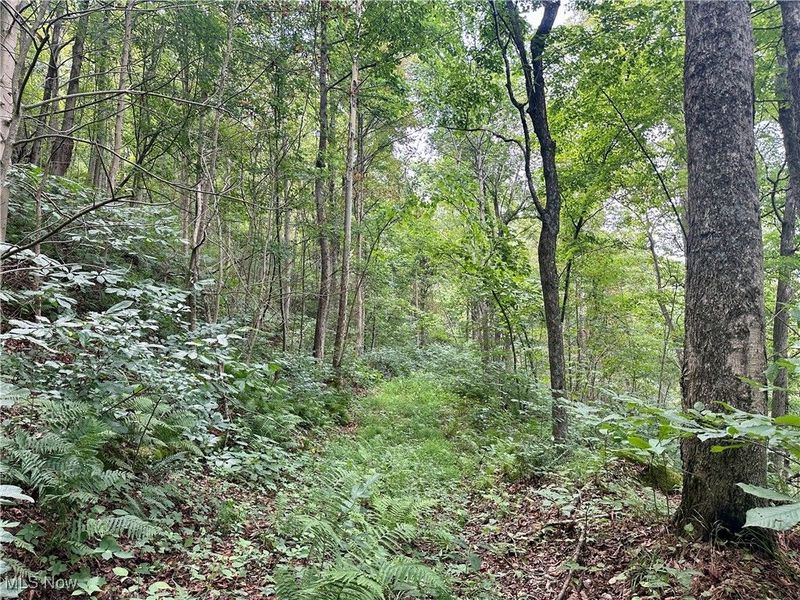 325 N Fork Road, New Matamoras, OH 45767 Photo 11