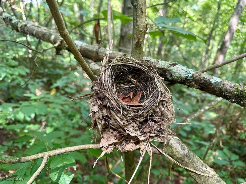 325 N Fork Road, New Matamoras, OH 45767 Photo 12