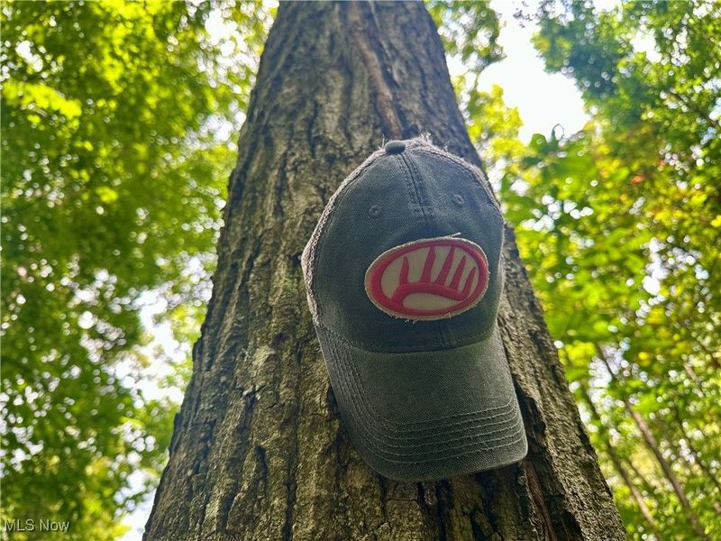 325 N Fork Road, New Matamoras, OH 45767 Photo 13