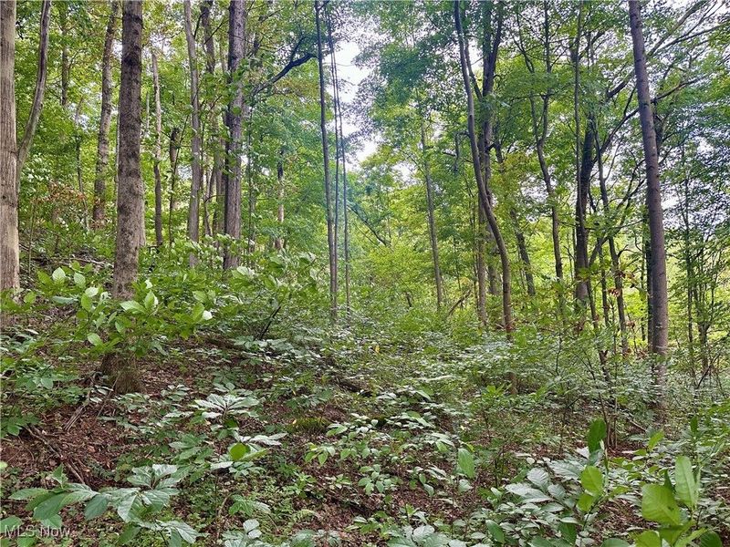 325 N Fork Road, New Matamoras, OH 45767 Photo 15