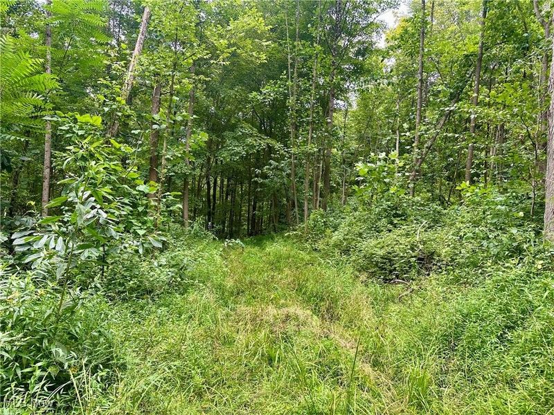 325 N Fork Road, New Matamoras, OH 45767 Photo 16