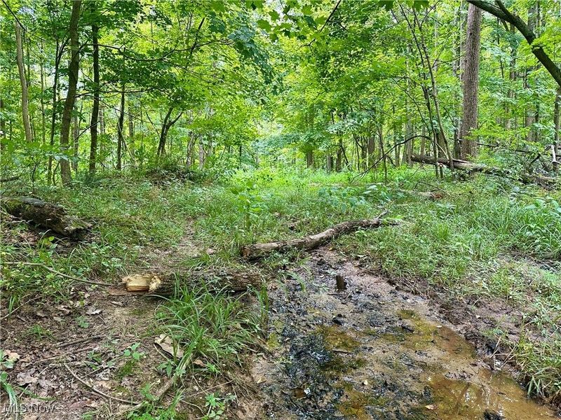 325 N Fork Road, New Matamoras, OH 45767 Photo 17