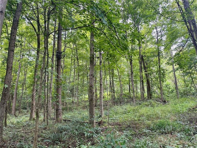 325 N Fork Road, New Matamoras, OH 45767 Photo 18