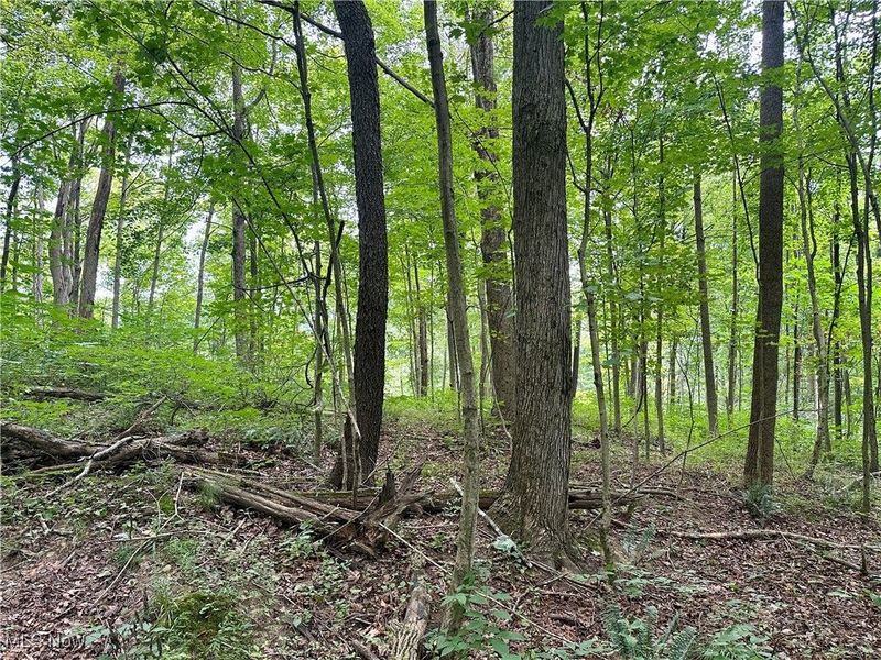 325 N Fork Road, New Matamoras, OH 45767 Photo 20