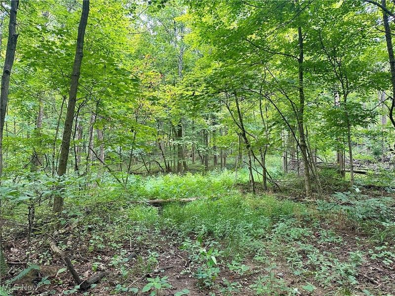 325 N Fork Road, New Matamoras, OH 45767 Photo 21