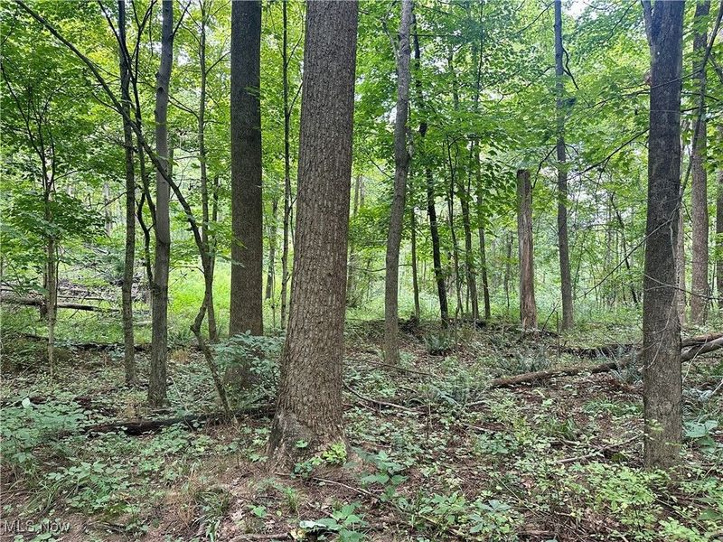 325 N Fork Road, New Matamoras, OH 45767 Photo 22