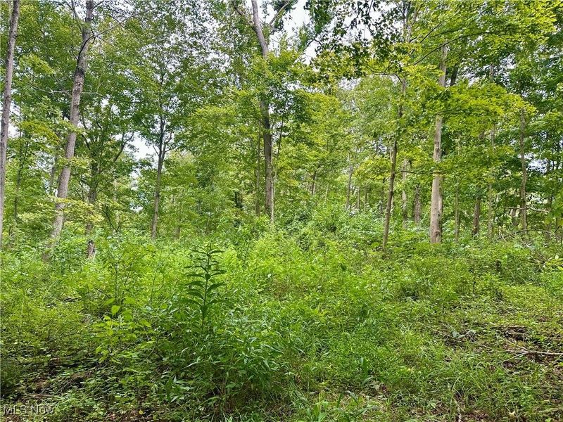 325 N Fork Road, New Matamoras, OH 45767 Photo 23